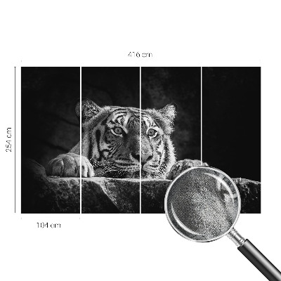 Fotobehang tienerkamer roofzuchtige blik