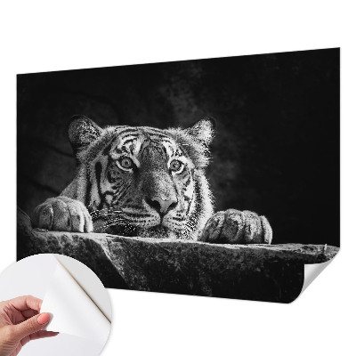 Fotobehang tienerkamer roofzuchtige blik