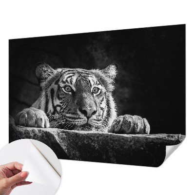 Fotobehang tienerkamer roofzuchtige blik