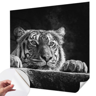 Fotobehang tienerkamer roofzuchtige blik