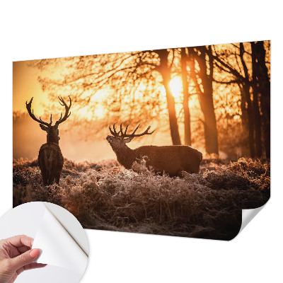 Fotobehang zelfklevend met herten in de ochtend