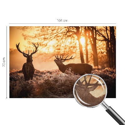 Fotobehang zelfklevend Herten in de ochtend