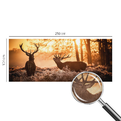 Fotobehang zelfklevend met herten in de ochtend