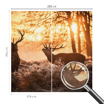 Fotobehang zelfklevend met herten in de ochtend