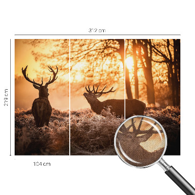 Fotobehang zelfklevend Herten in de ochtend