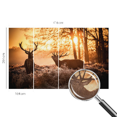 Fotobehang zelfklevend Herten in de ochtend