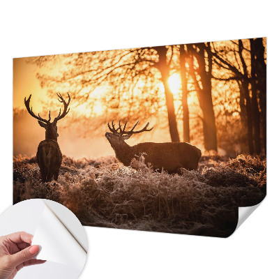 Fotobehang zelfklevend met herten in de ochtend