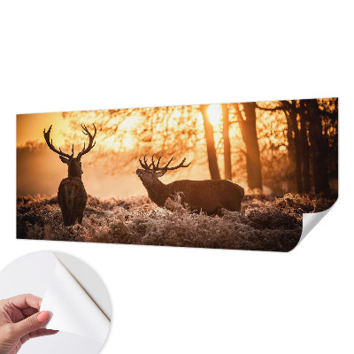 Fotobehang zelfklevend met herten in de ochtend