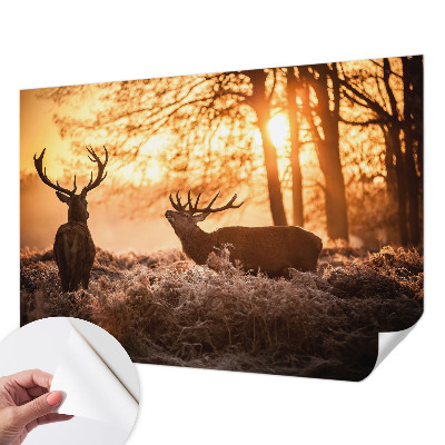 Fotobehang zelfklevend met herten in de ochtend