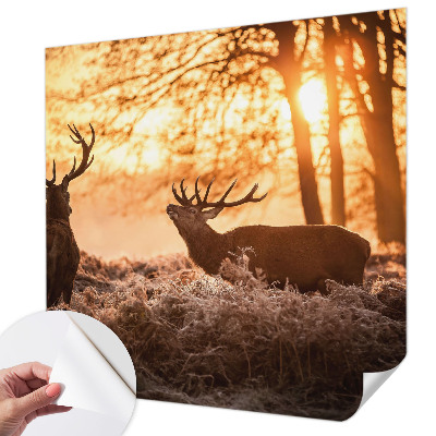 Fotobehang zelfklevend met herten in de ochtend