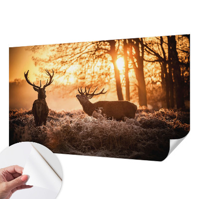 Fotobehang zelfklevend met herten in de ochtend