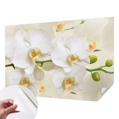 Fotobehang tienerkamer met bloemenmotief