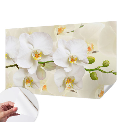 Fotobehang tienerkamer Bloemenpracht