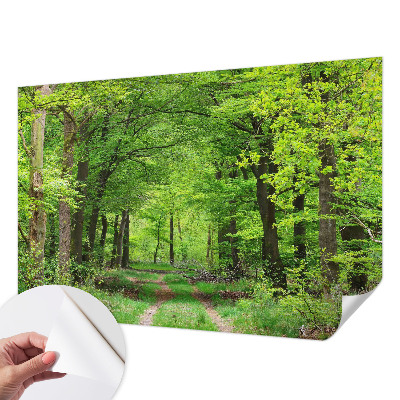 Fotobehang kinderkamer met een bospad-motief