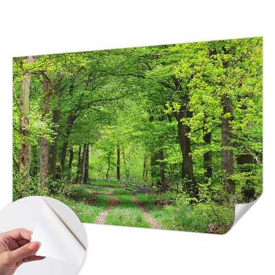 Fotobehang kinderkamer met een bospad-motief