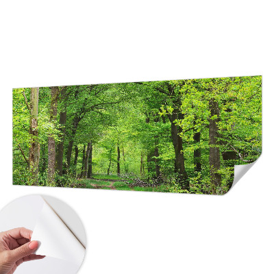 Fotobehang kinderkamer met een bospad-motief