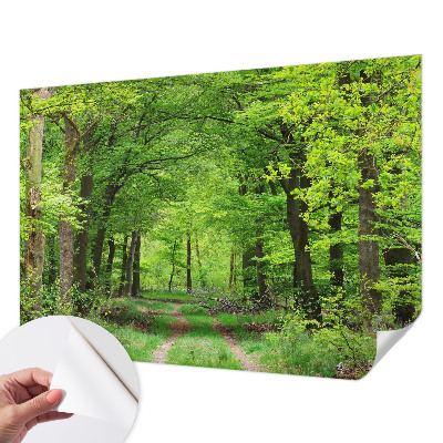 Fotobehang kinderkamer met een bospad-motief