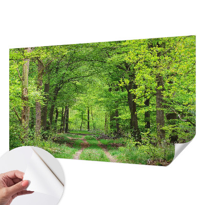 Fotobehang kinderkamer met een bospad-motief
