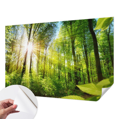 Fotobehang voor kinderkamer met het motief 'Boslicht'