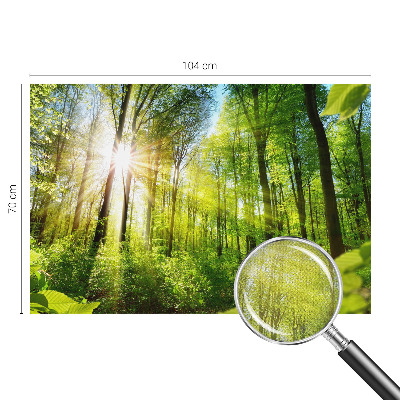Fotobehang voor kinderkamer met het motief 'Boslicht'