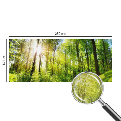 Fotobehang voor kinderkamer Boslicht