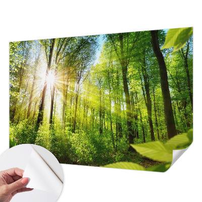 Fotobehang voor kinderkamer Boslicht