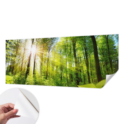 Fotobehang voor kinderkamer Boslicht