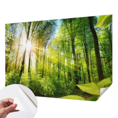 Fotobehang voor kinderkamer met het motief 'Boslicht'