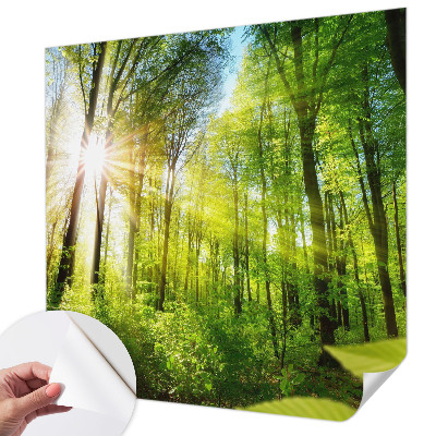 Fotobehang voor kinderkamer Boslicht