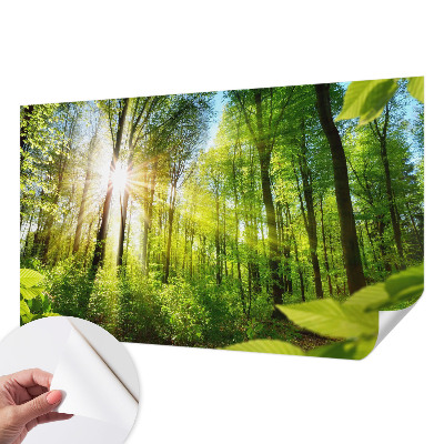 Fotobehang voor kinderkamer Boslicht