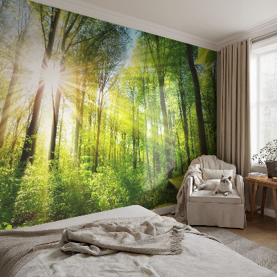 Fotobehang voor kinderkamer met het motief 'Boslicht'