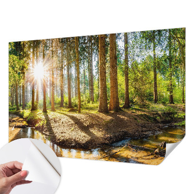 Fotobehang babykamer met een sprookjesachtig boslandschap