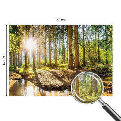 Fotobehang babykamer Idylle in het bos