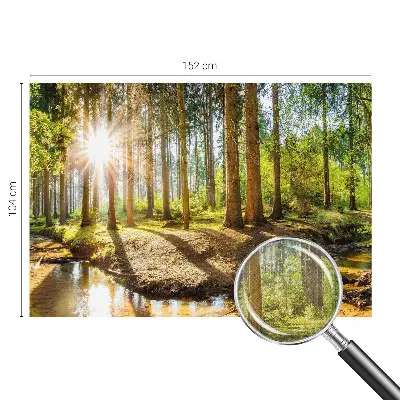 Fotobehang babykamer met een sprookjesachtig boslandschap