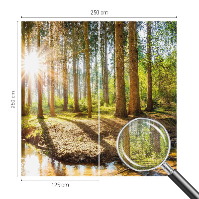 Fotobehang babykamer met een sprookjesachtig boslandschap