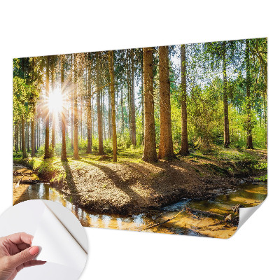 Fotobehang babykamer Idylle in het bos