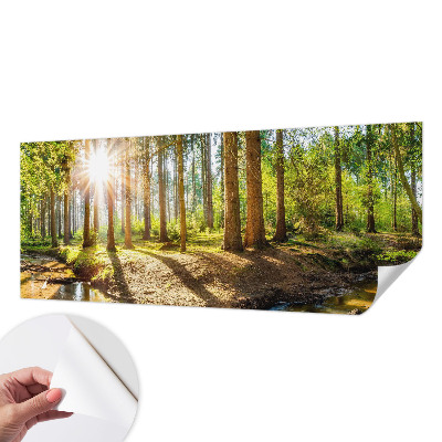 Fotobehang babykamer met een sprookjesachtig boslandschap