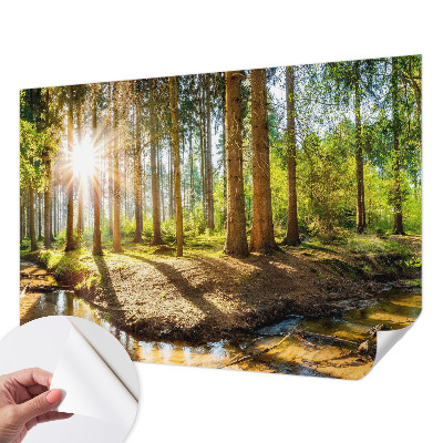 Fotobehang babykamer met een sprookjesachtig boslandschap