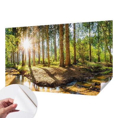 Fotobehang babykamer met een sprookjesachtig boslandschap