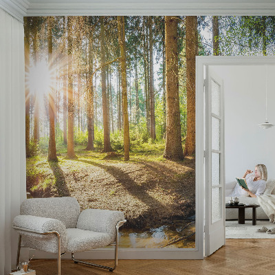 Fotobehang babykamer met een sprookjesachtig boslandschap