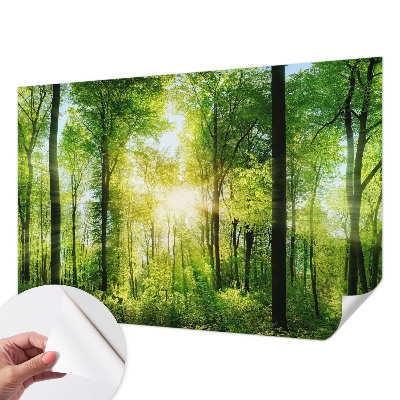 Zelfklevend fotobehang met het motief 'Bosharmonie'