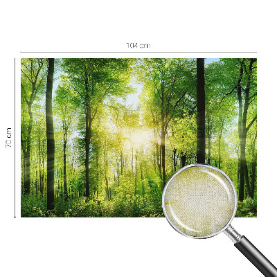 Zelfklevend fotobehang Bosharmonie