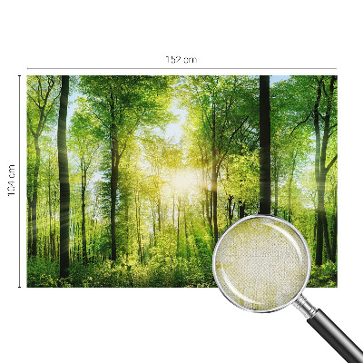 Zelfklevend fotobehang Bosharmonie