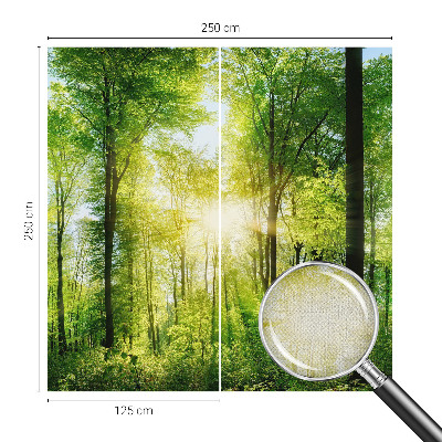 Zelfklevend fotobehang Bosharmonie