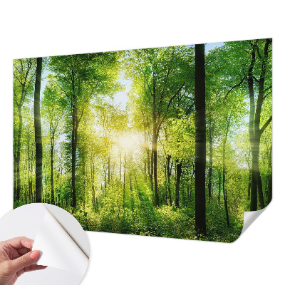 Zelfklevend fotobehang met het motief 'Bosharmonie'