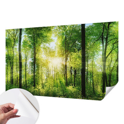 Zelfklevend fotobehang met het motief 'Bosharmonie'