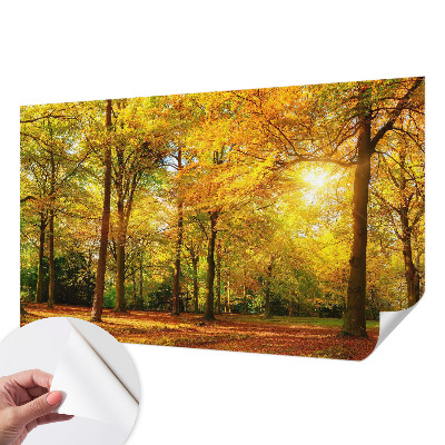 Zelfklevend fotobehang op maat Gouden bladeren
