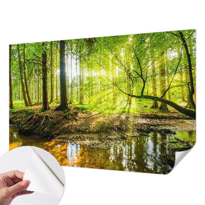 3D fotobehang Groen landschap