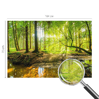 3D fotobehang Groen landschap
