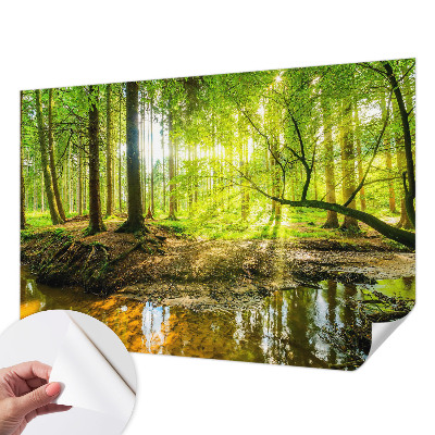 3D fotobehang Groen landschap